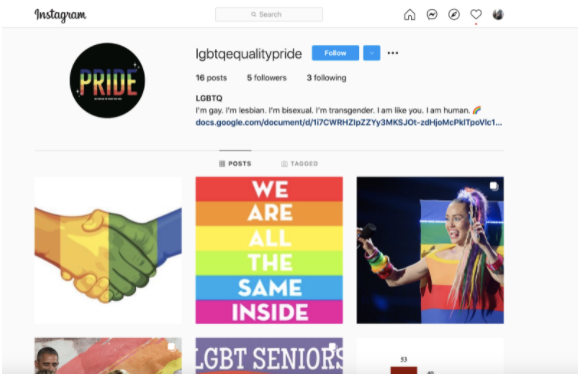 For the final project, Nell-Ayn Lynch’s students made an Instagram account called lgbtqequalitypride where they posted pictures regarding the LQBTQ+ community and its significance. This final project is an easier yet more creative version of a final exam that still provides critical information for the teachers. 