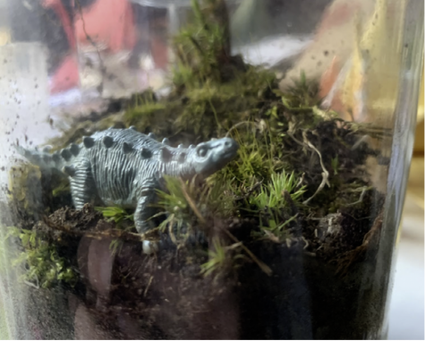 Closed ecosystem terrariums are miniature ecosystems of moss kept indefinitely within glass containers.