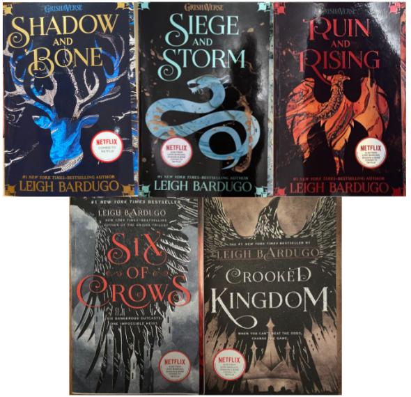Shadow and bone book series