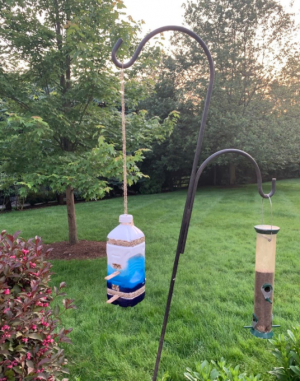 As Connecticut welcomes summer weather, many of wild birds’ natural prey becomes more prevalent. However, we can still help birds fulfill their ferocious daily feeding schedules by getting crafty with household materials to make bird feeders. 