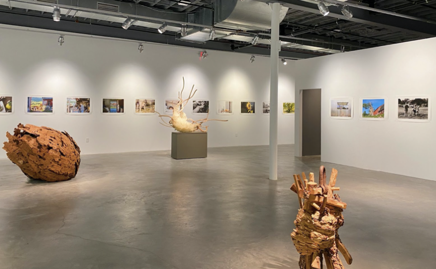 New exhibit ‘Between the Ground and the Sky’ is presented by MoCA Westport up until Oct. 17, 2021 and features photographs, plants and sculptures inspired by local farming.