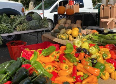 The farmers market is home to many farmers looking to sell their produce, which was grown on their own farm, free from commercial intervention.