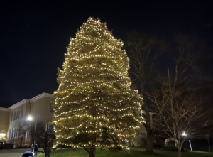 The annual tree lighting ceremony took place at Town Hall on Dec 3. With a performance from the orphenians, presence of both selectwomen, and a large representation of our supportive community, Westport enjoyed this festive event.