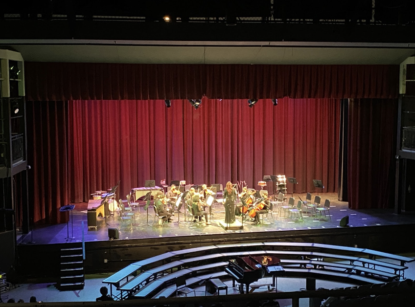Classical music is a rich genre that is often overlooked by today’s youth—even within our own school community. At Staples, the Amati Chamber Orchestra (pictured) as well as the Stradivarius Chamber Orchestra receive little attention from administrators and students alike, reflecting the diminishing interest in classical music today.