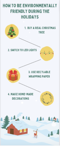 Every year an exorbitant amount of waste is produced during the holiday season. There are so many ways to contribute to bettering the planet by simply improving a few holiday rituals. The many misconceptions surrounding recycling are very harmful for the earth but change is in reach. 