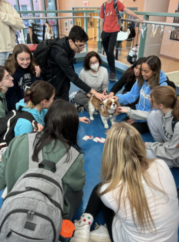 For 30 minutes on Wellness Wednesday Nov. 23, students pet dogs, eat ice cream, play karaoke and more.
