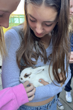 Molly Whittle ’25 cuddles with a furry friend from the petting zoo to relax during Wellness Wednesday.