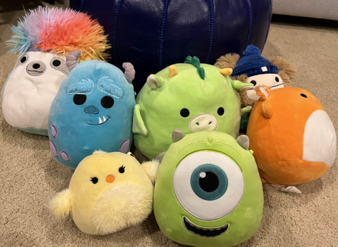 Squishmallows are plush stuffed companions that offer support and reduce anxiety for its owners. They are modeled after many animals or pop culture ideas, some of which can be seen above. 