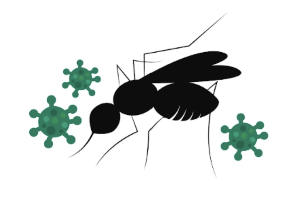 The Nile Virus is not the first mosquito related virus to spread in Connecticut in recent years. Eastern Equine Encephalitis and Zika Virus have both also had a Connecticut presence. 