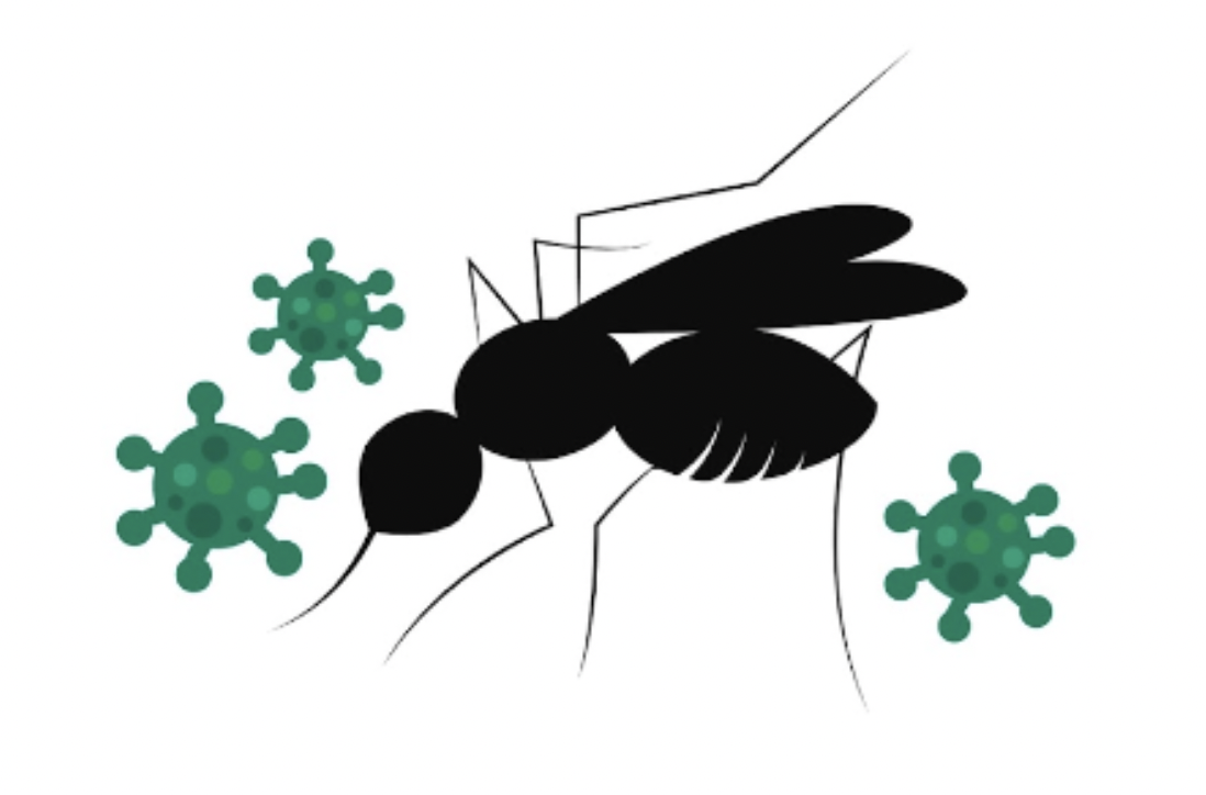 The+Nile+Virus+is+not+the+first+mosquito+related+virus+to+spread+in+Connecticut+in+recent+years.+Eastern+Equine+Encephalitis+and+Zika+Virus+have+both+also+had+a+Connecticut+presence.+