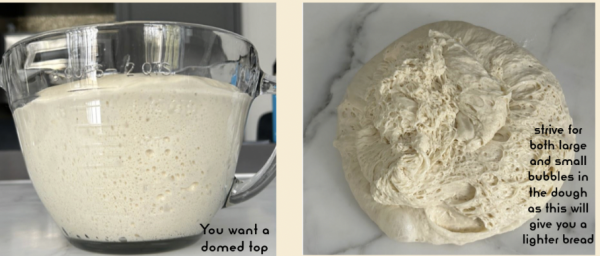 The bulk ferment is when the yeast fully developed through rest. The dough should nearly double in size and get bubbly. The warmer the environment, the faster the dough will ferment. If you leave the dough on the counter it will take about eight to 10 hours. For a more sour dough, leave it in the fridge for up to three days for a slower fermentation. 
