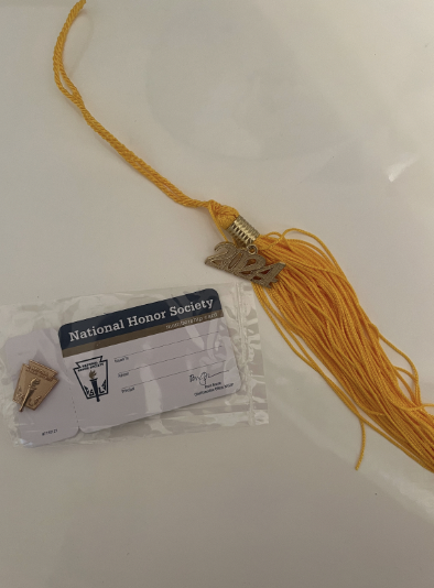 Graduating senior National Honor Society members received a pin and graduation cap tassel at the induction ceremony. 