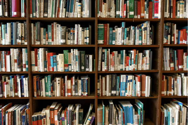 Student Submissions: Members of Staples' National English Honor Society (NEHS) review their favorite books