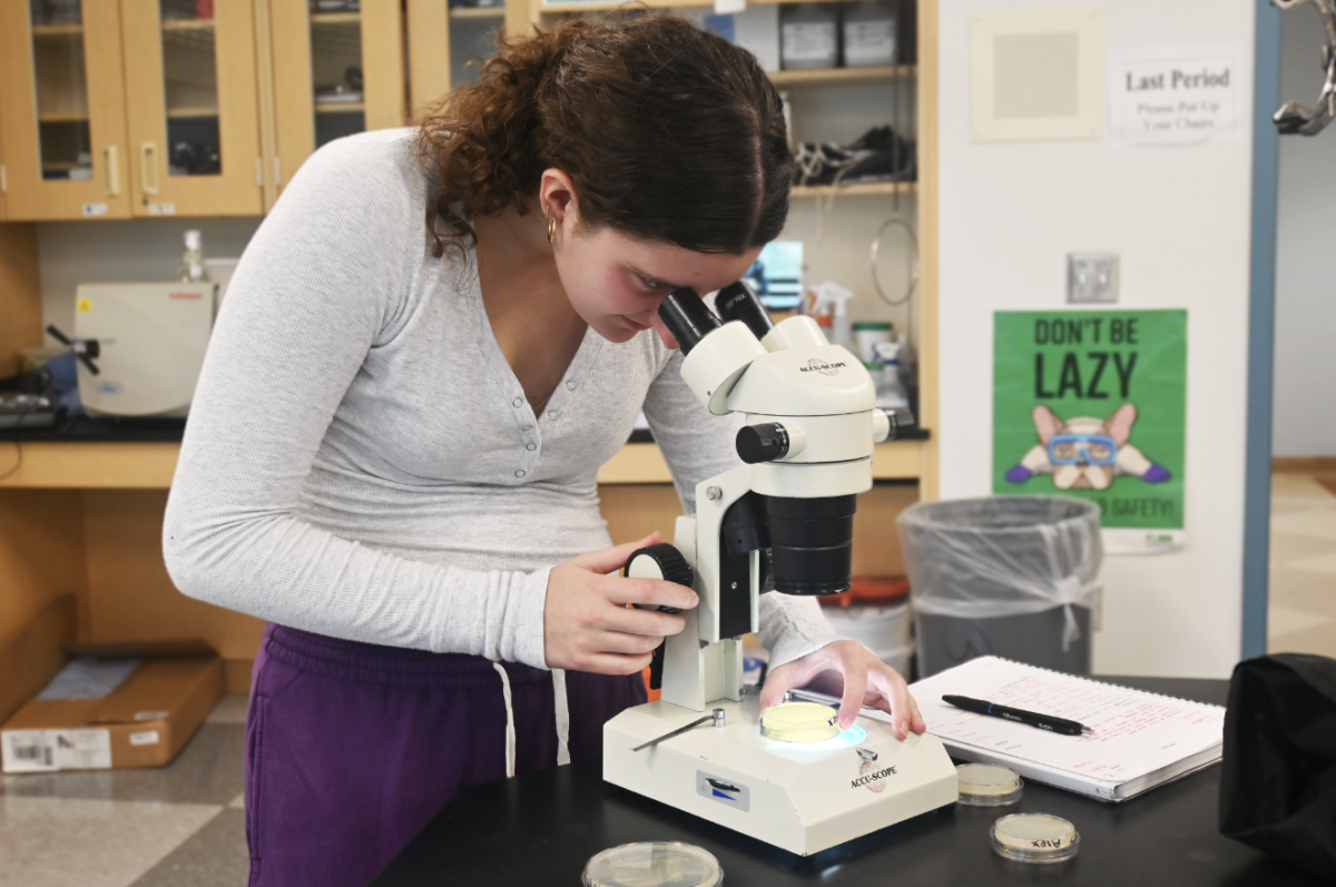 Alex Fetner ’28 looking into the microscope, taking notes about her findings.