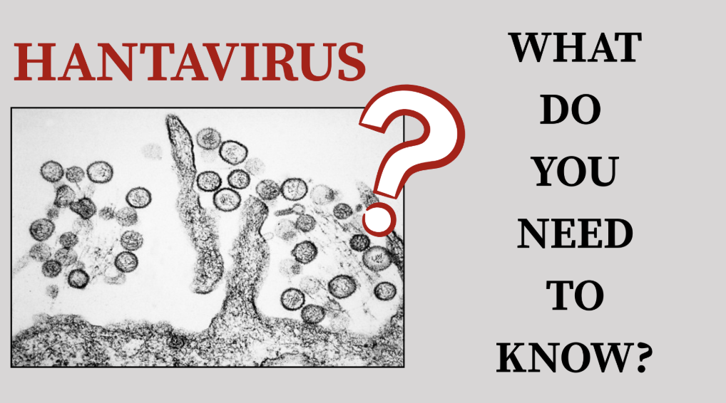 What students and teachers should know about the outbreak of Hantavirus on the MV Hondius cruise.